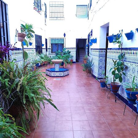 La Casa Del Patio En Pleno San Lorenzo 科爾多瓦 外观 照片